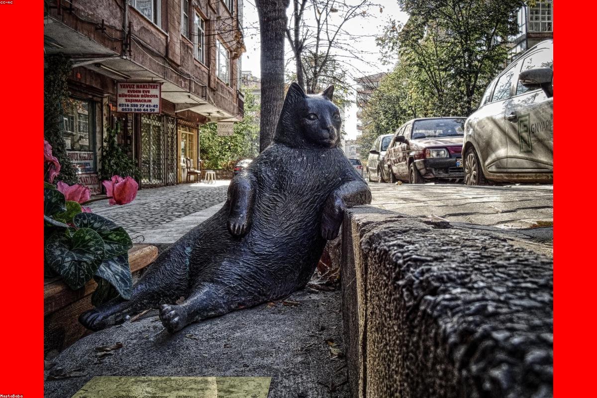 Mindfulness and Sexual Presence: How Attention Determines Stamina