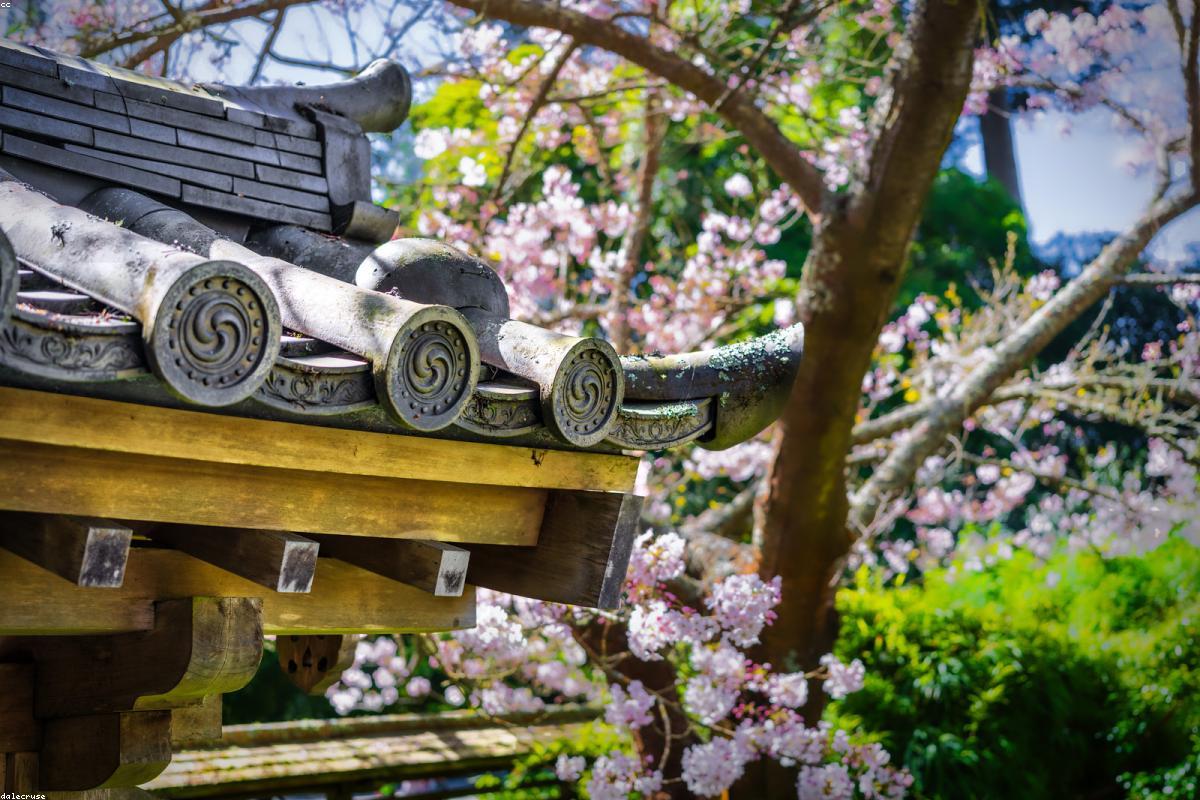 The Pre-Sex Relaxation Routine: A 15-Minute Protocol for Better Performance