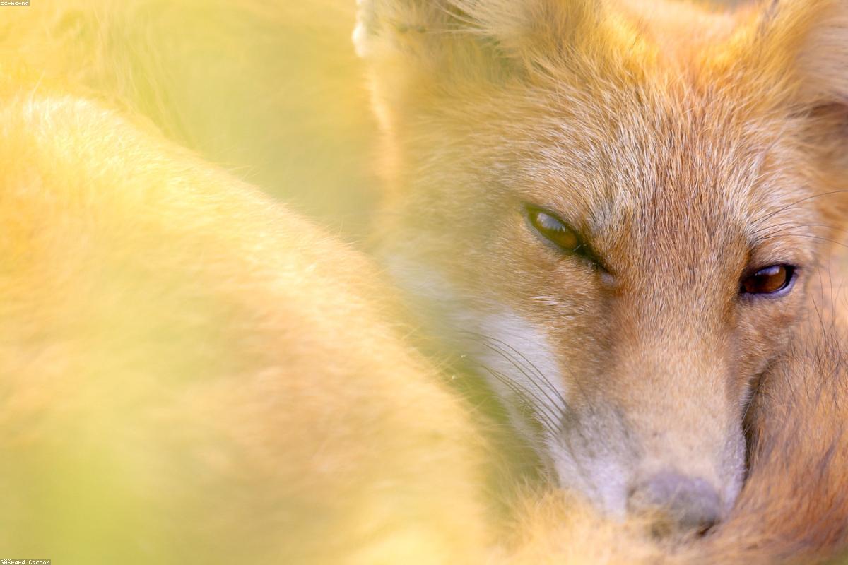 How Sitting All Day Wrecks Your Sexual Health